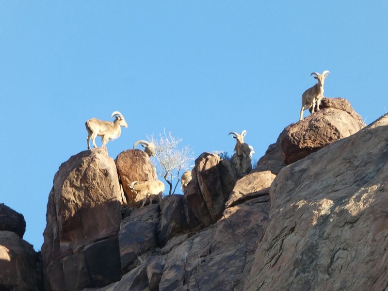 Big Bend National Park, Texas