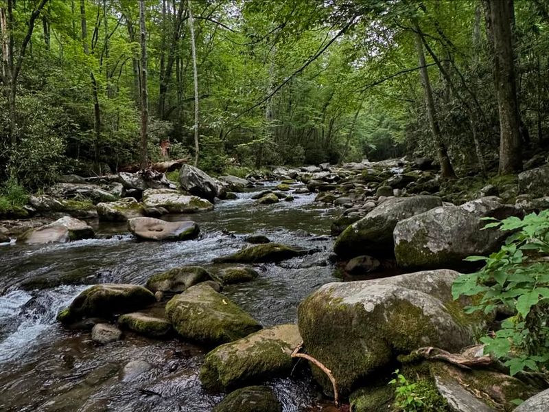 Great Smoky Mountains National Park, Tennessee/North Carolina