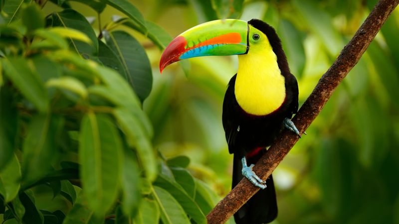 Costa Rica
