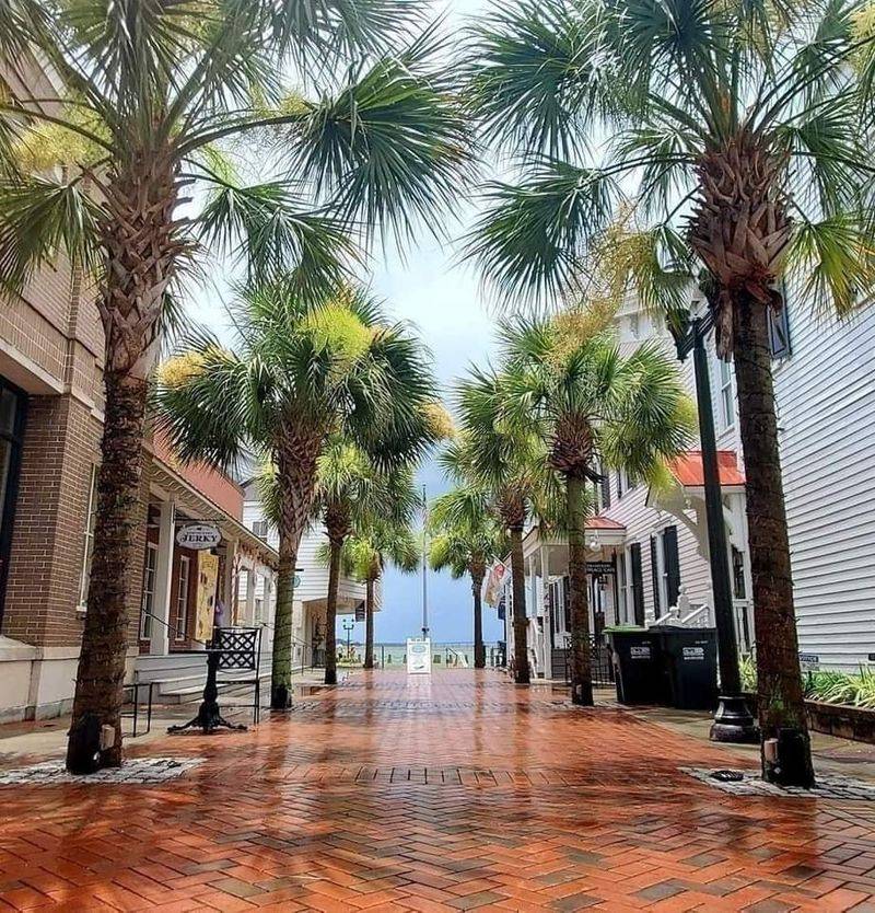 Stroll Along Bay Street’s Waterfront Charm