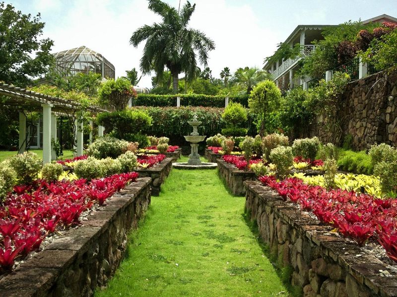 Exploring Nevis's Botanical Gardens