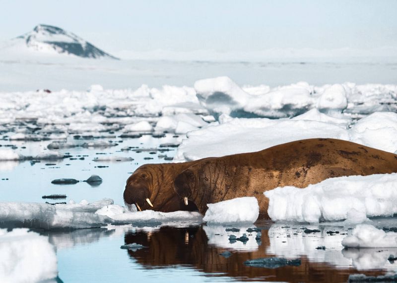 Svalbard, Norway