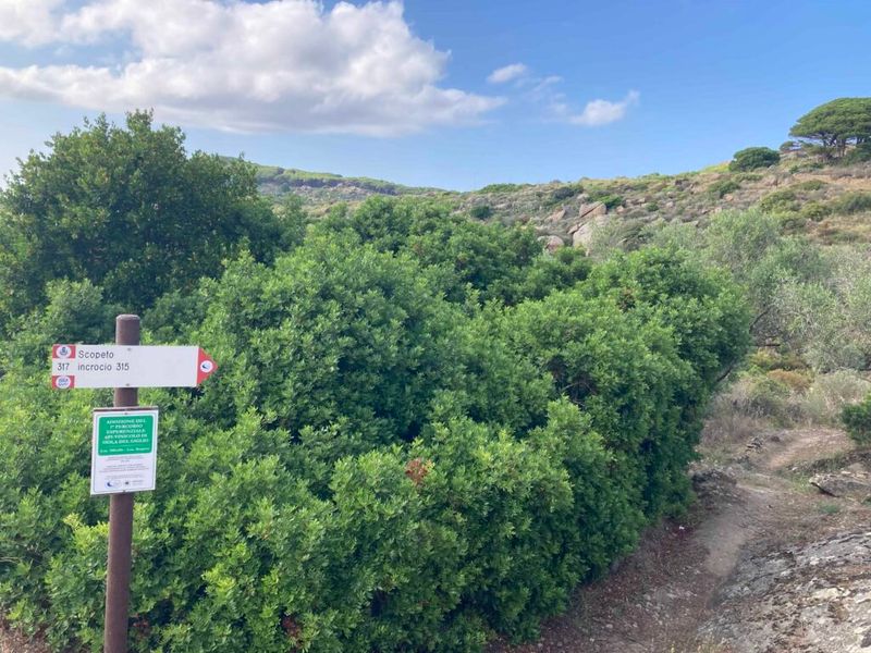 Hiking Monte della Croce