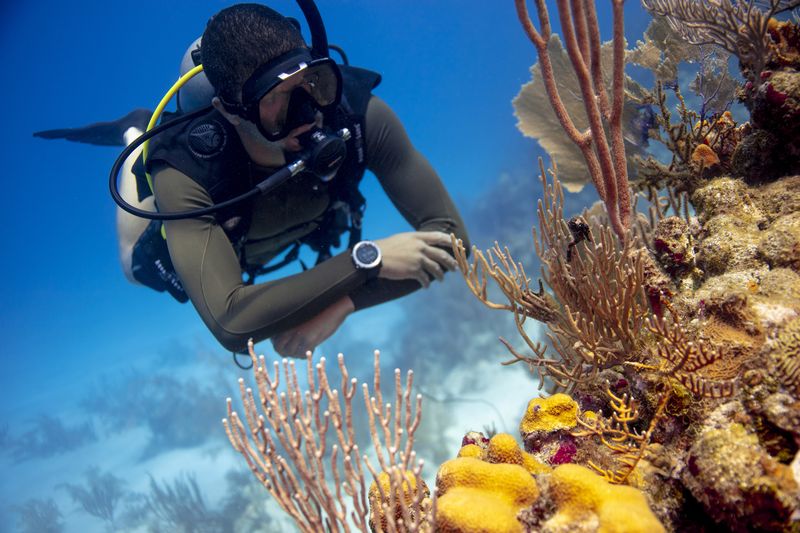 Dive the Barrier Reef