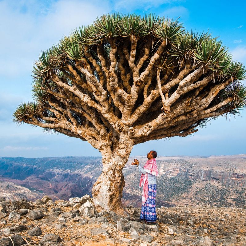 Socotra Island, Yemen