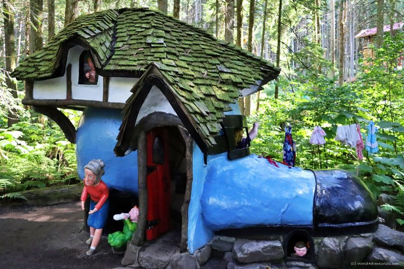 The Enchanted Gnome Forest