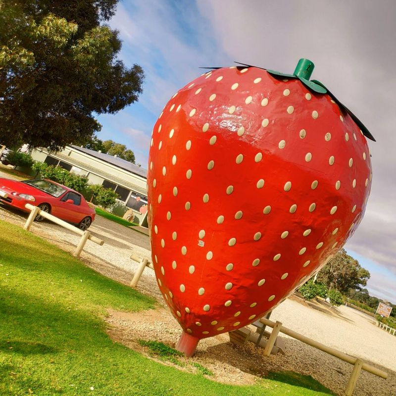 The Giant Strawberry