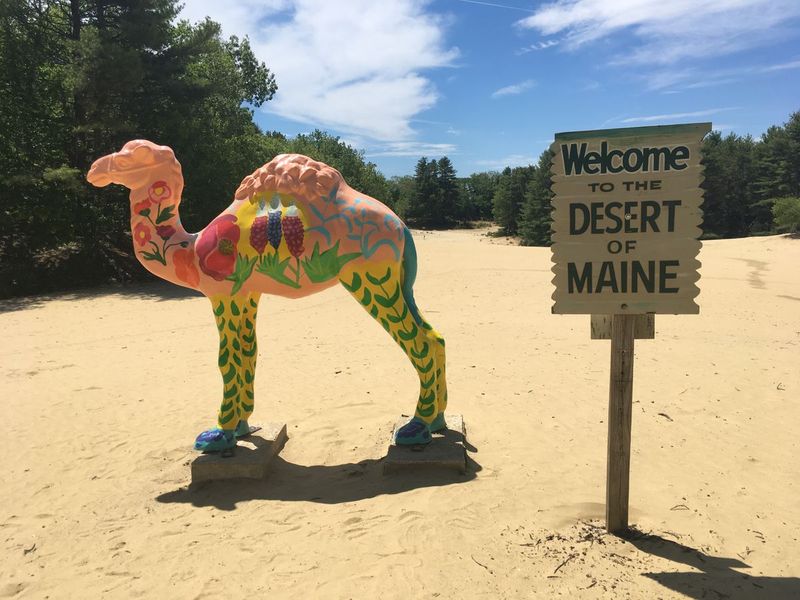 The Desert of Maine