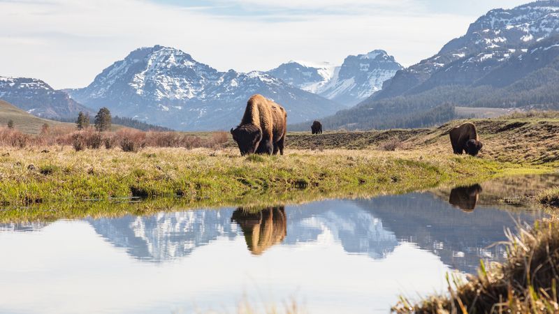 Yellowstone National Park, Wyoming