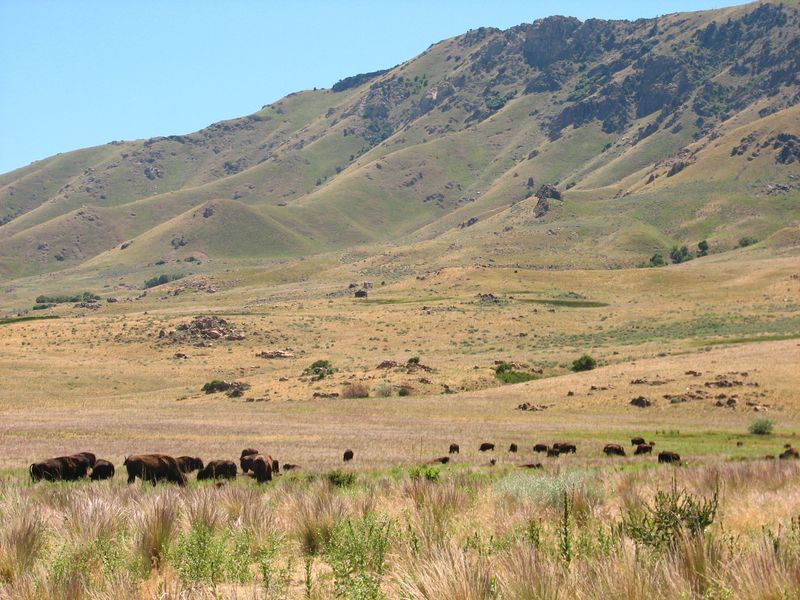 Antelope Island State Park, Utah