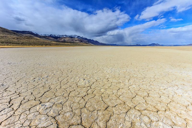 Alvord Desert
