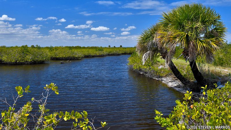 Merritt Island National Wildlife Refuge