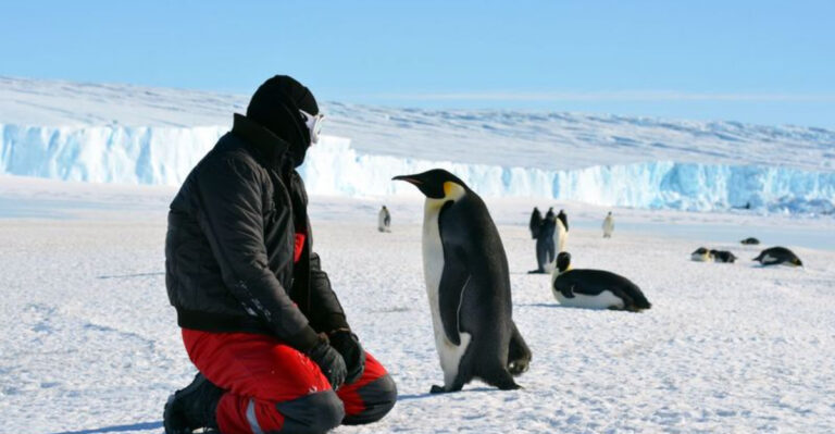 Top Destinations Every Adventurer Should See