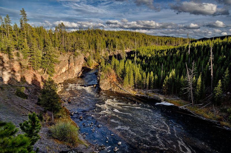 Firehole River Swimming