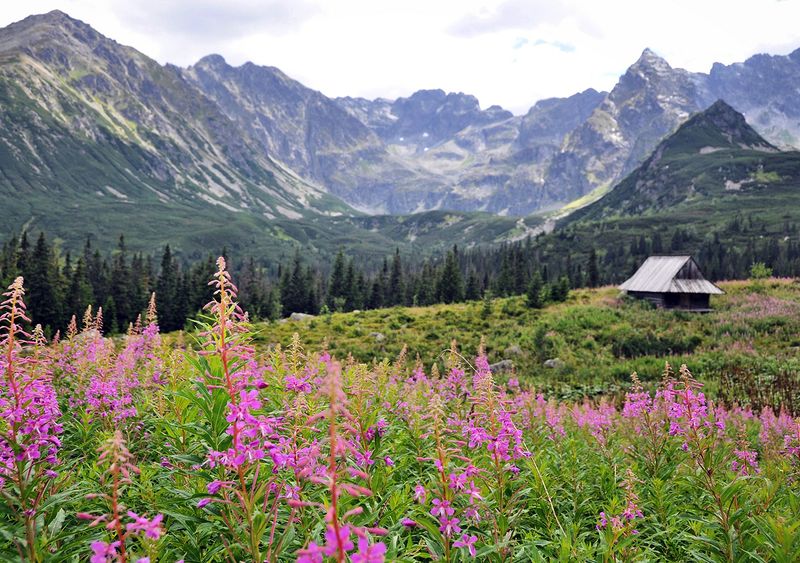 Zakopane, Poland