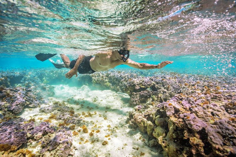 Snorkel in Hanauma Bay