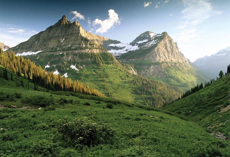 Montana
