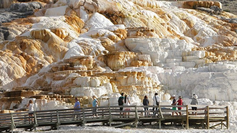 Mammoth Hot Springs Terraces