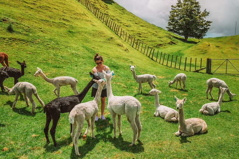 New Zealand