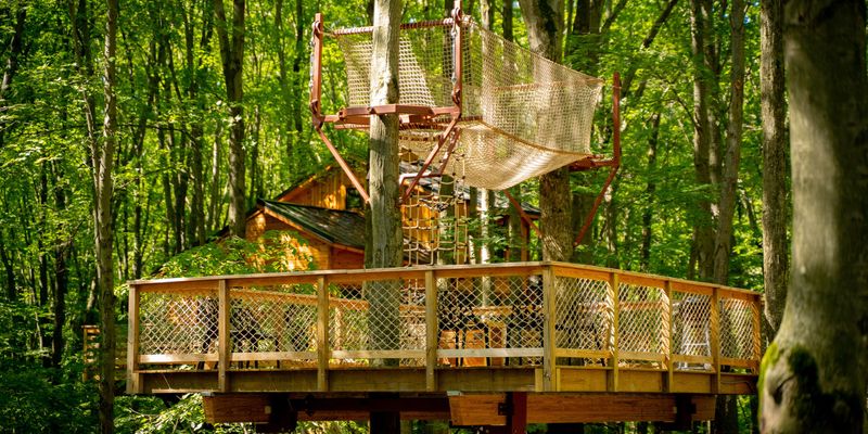 Treehouse Tent in the Jungle