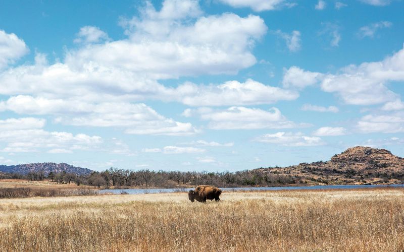 Wichita Mountains Wildlife Refuge, Oklahoma