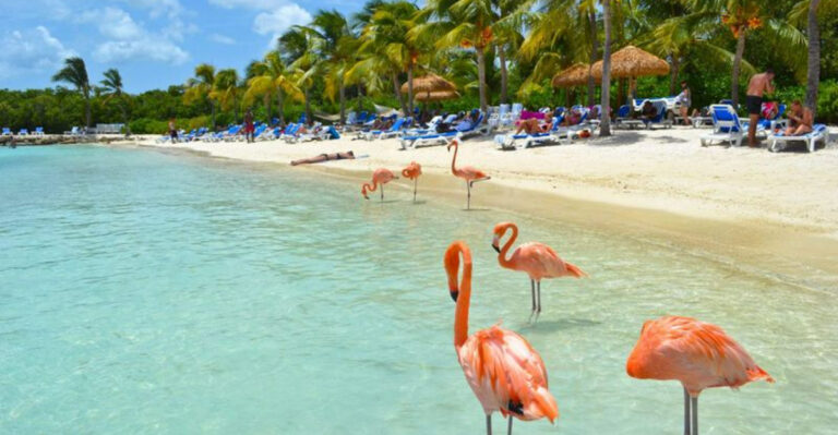 19 Caribbean Islands Where Tourists Keep Getting Scammed