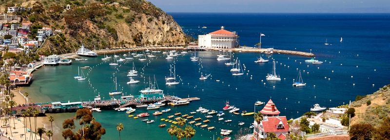 Baja Mexico Party Cruise