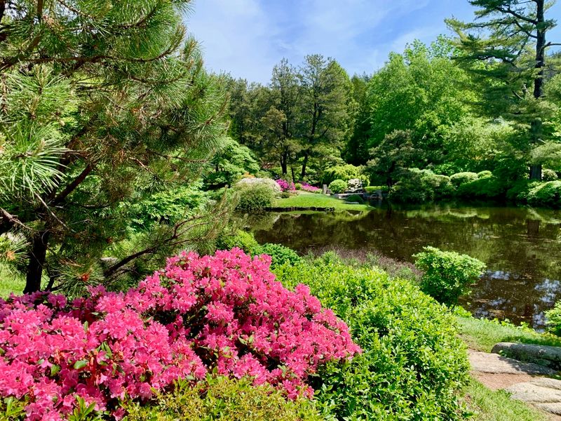 The Whispering Gardens