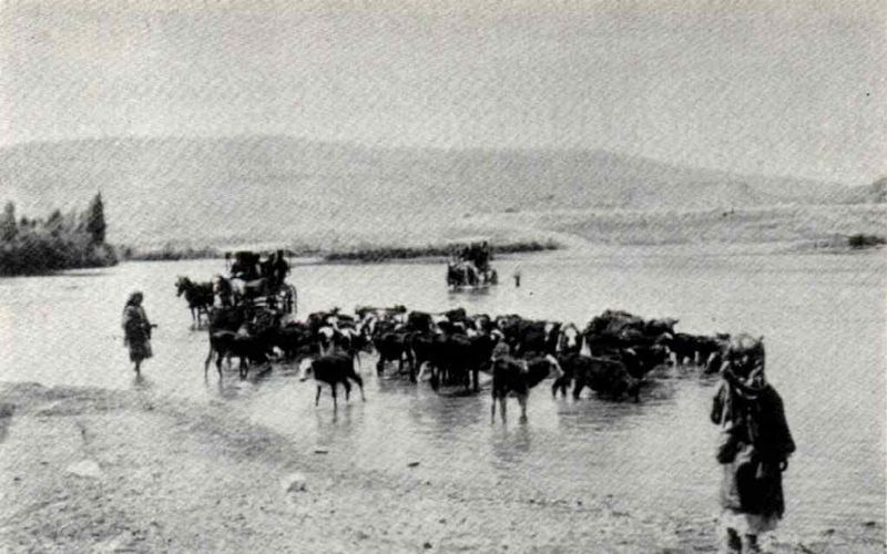 1910s – Tours Of The Holy Land