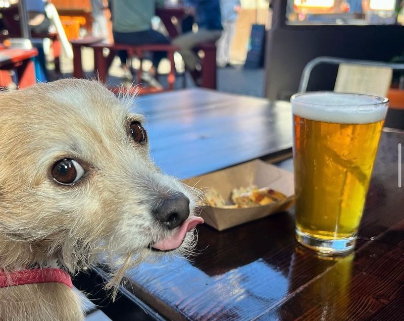 Scottsdale, Arizona