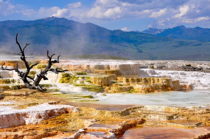 Yellowstone Park