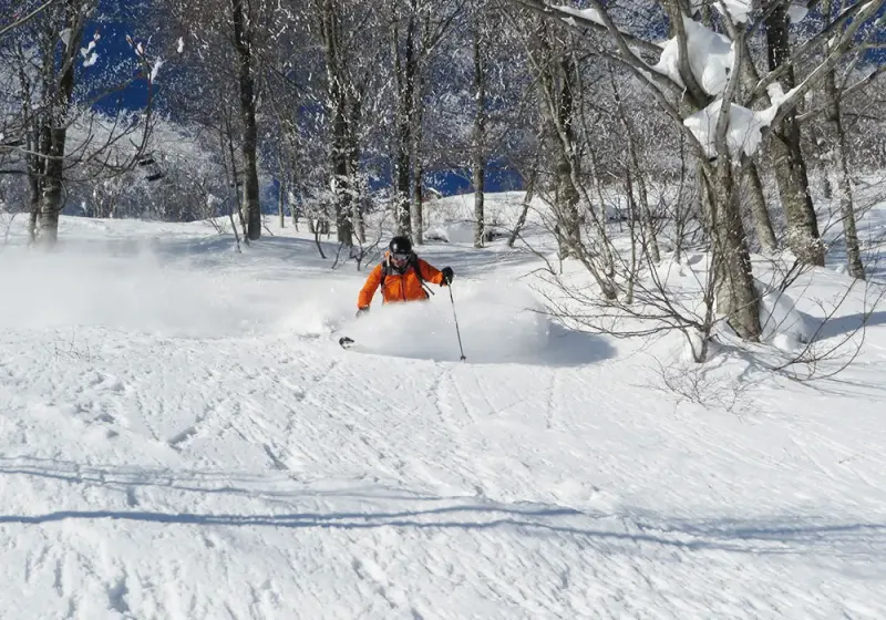 Hakuba Valley, Japan