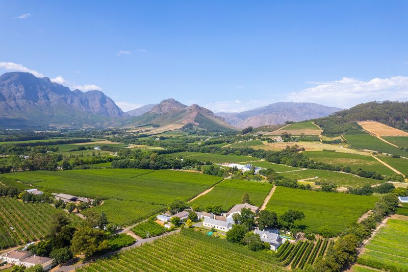 Cape Winelands – South Africa