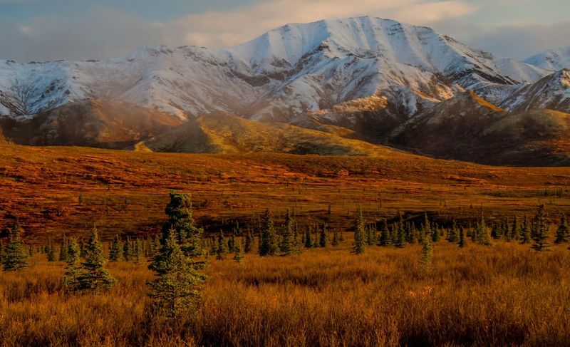 Denali National Park, Alaska