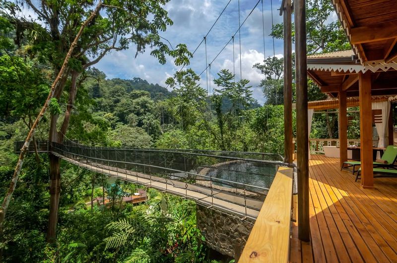 Jungle Canopy Walk In Costa Rica