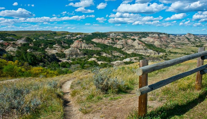 Theodore Roosevelt Park
