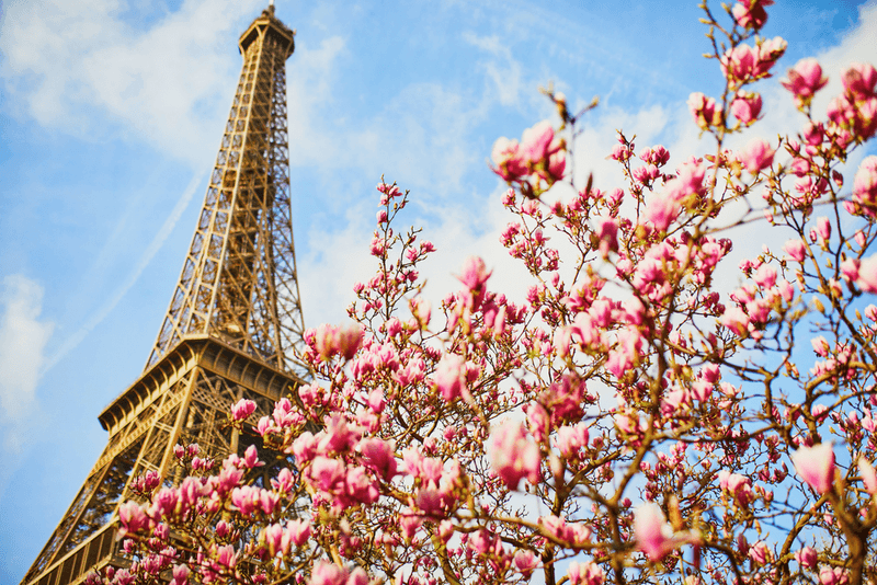 Enchanting Paris