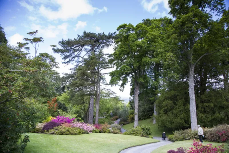 The Secret Gardens of Wales