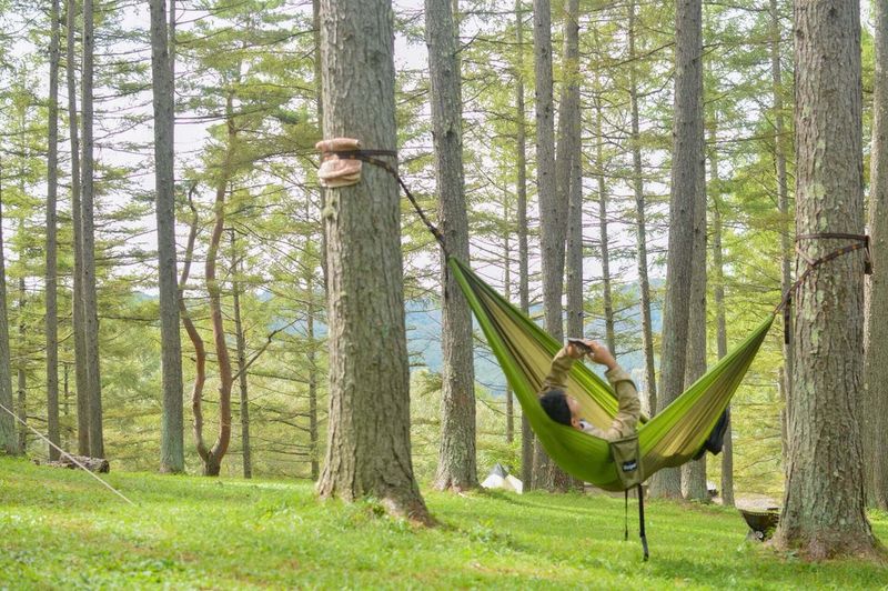 Portable Hammock