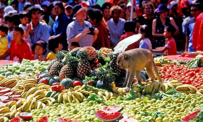 Monkey Buffet Festival – Thailand