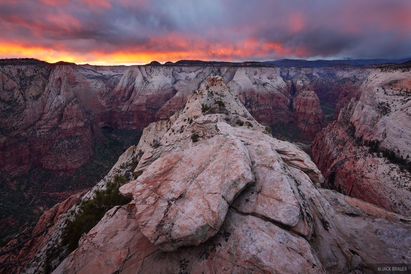 Photograph Zion’s red walls glowing at golden hour
