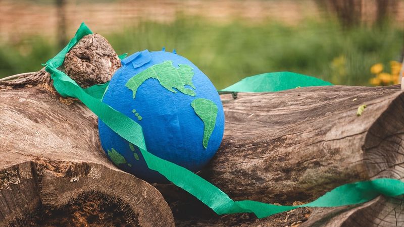 Educate Guests With Fun Eco-Themed Games Or Activities