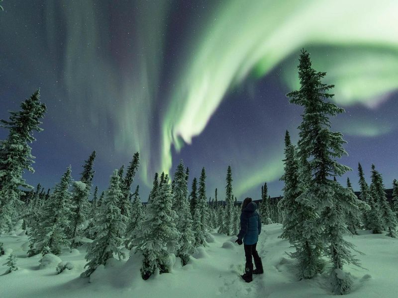 Fairbanks (Winter Destination)