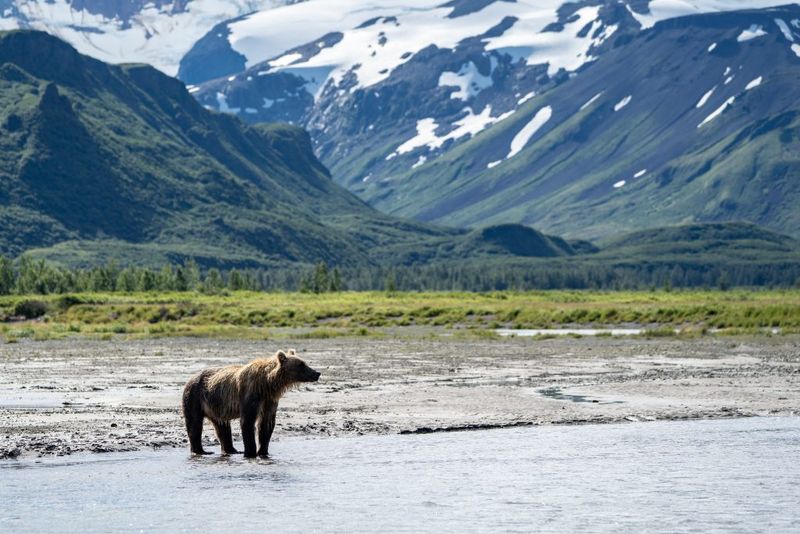 Kenai National Wildlife Refuge