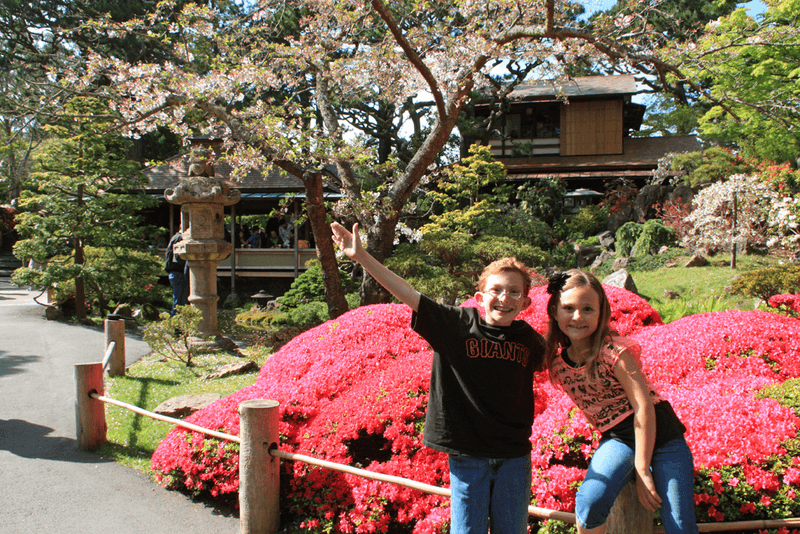 Japanese Tea Garden