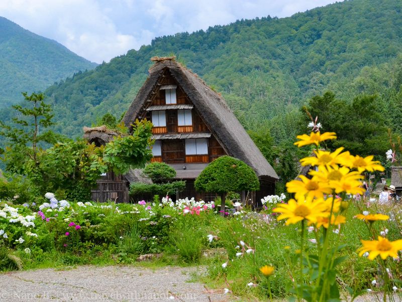 Shirakawa-go, Japan (Cute but Felt Dull)