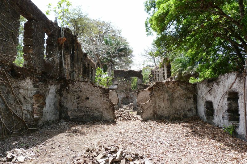 Uncovering the Secrets of the Slave Trade
