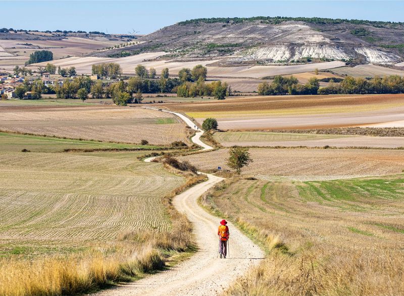 Walk the Camino de Santiago