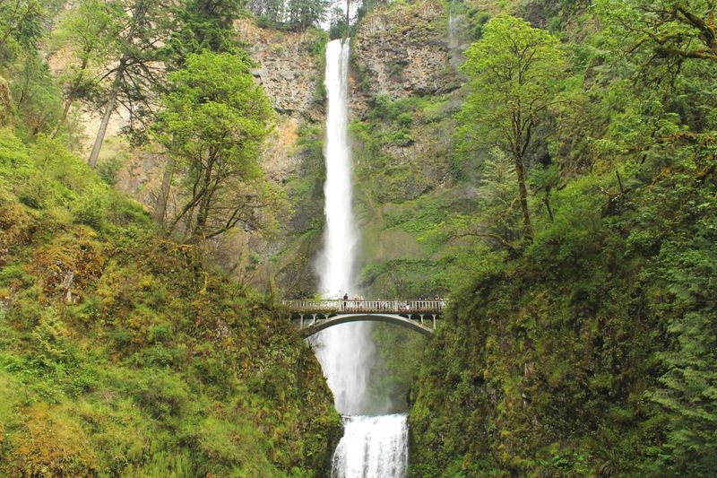Multnomah Falls
