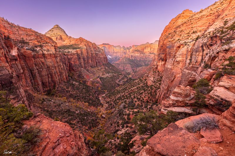 Feel completely small—and totally alive
